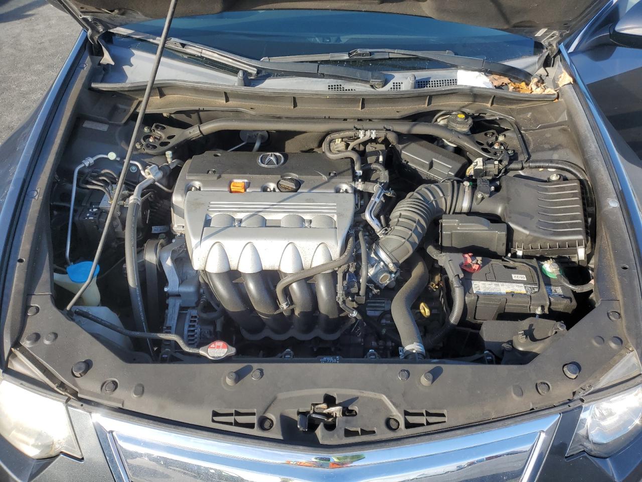 2011 Acura Tsx VIN: JH4CU2F61BC012988 Lot: 92755685