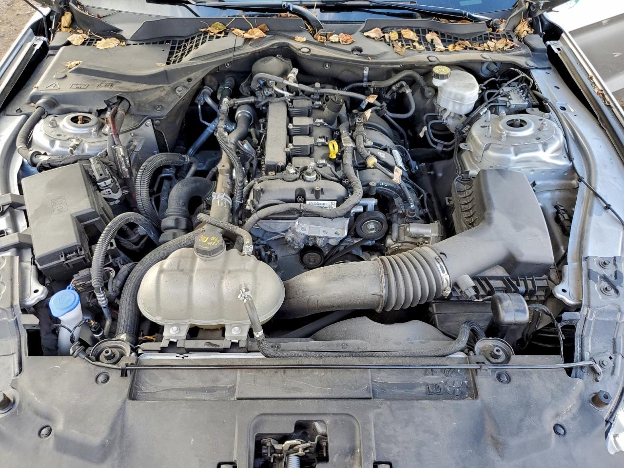 2022 Ford Mustang VIN: 1FA6P8TH4N5147640 Lot: 93131345