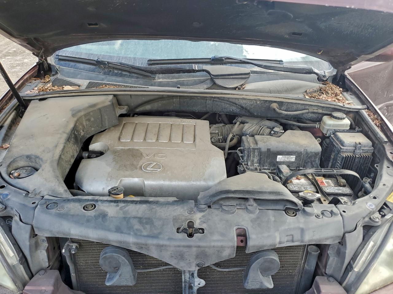 2008 Lexus Rx 350 VIN: JTJHK31U182032386 Lot: 93826675