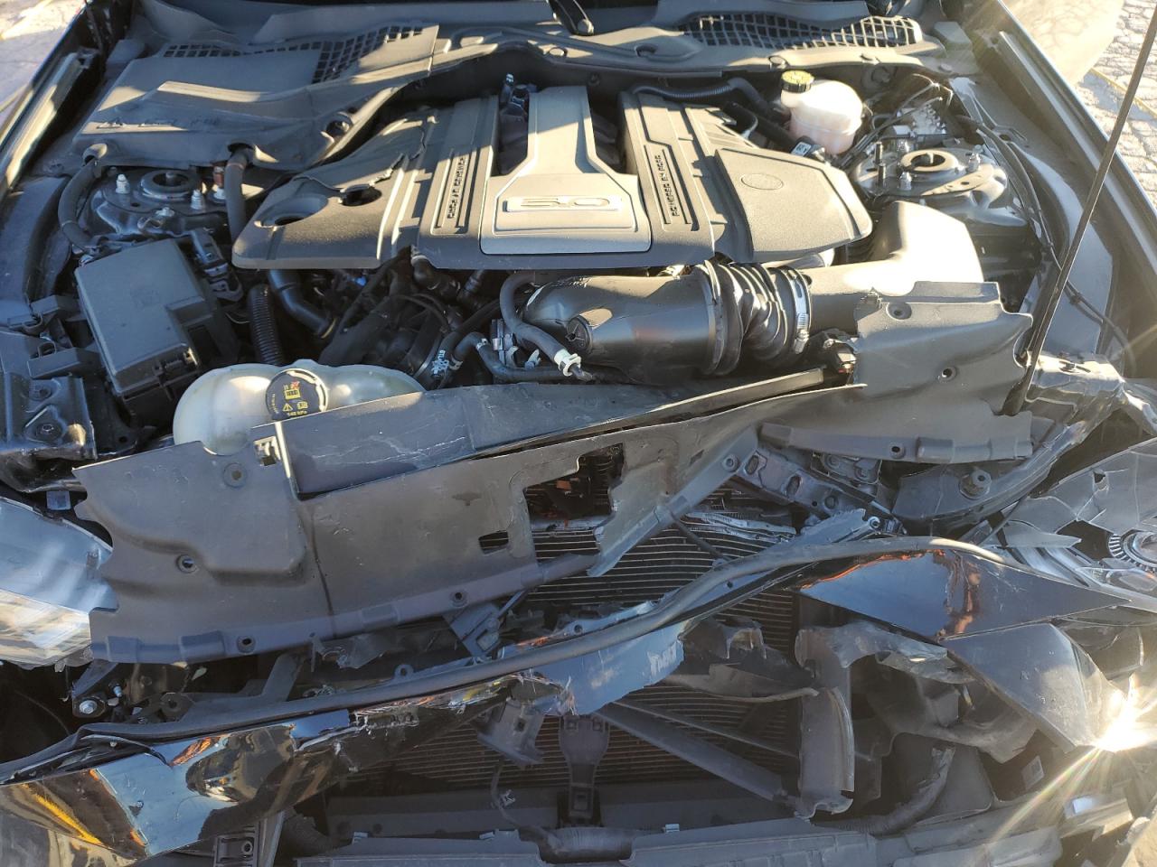 2020 Ford Mustang Gt VIN: 1FA6P8CF2L5132906 Lot: 92312945