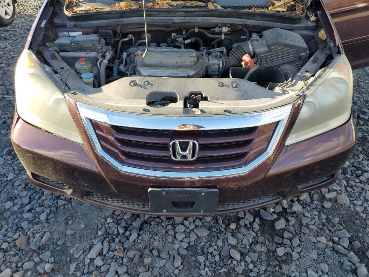 2010 Honda Odyssey Exl VIN: 5FNRL3H75AB021009 Lot: 90685545