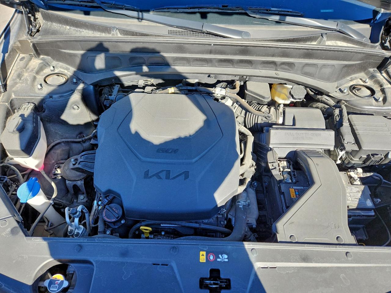 2022 Kia Telluride Ex VIN: 5XYP3DHC6NG251537 Lot: 93927205