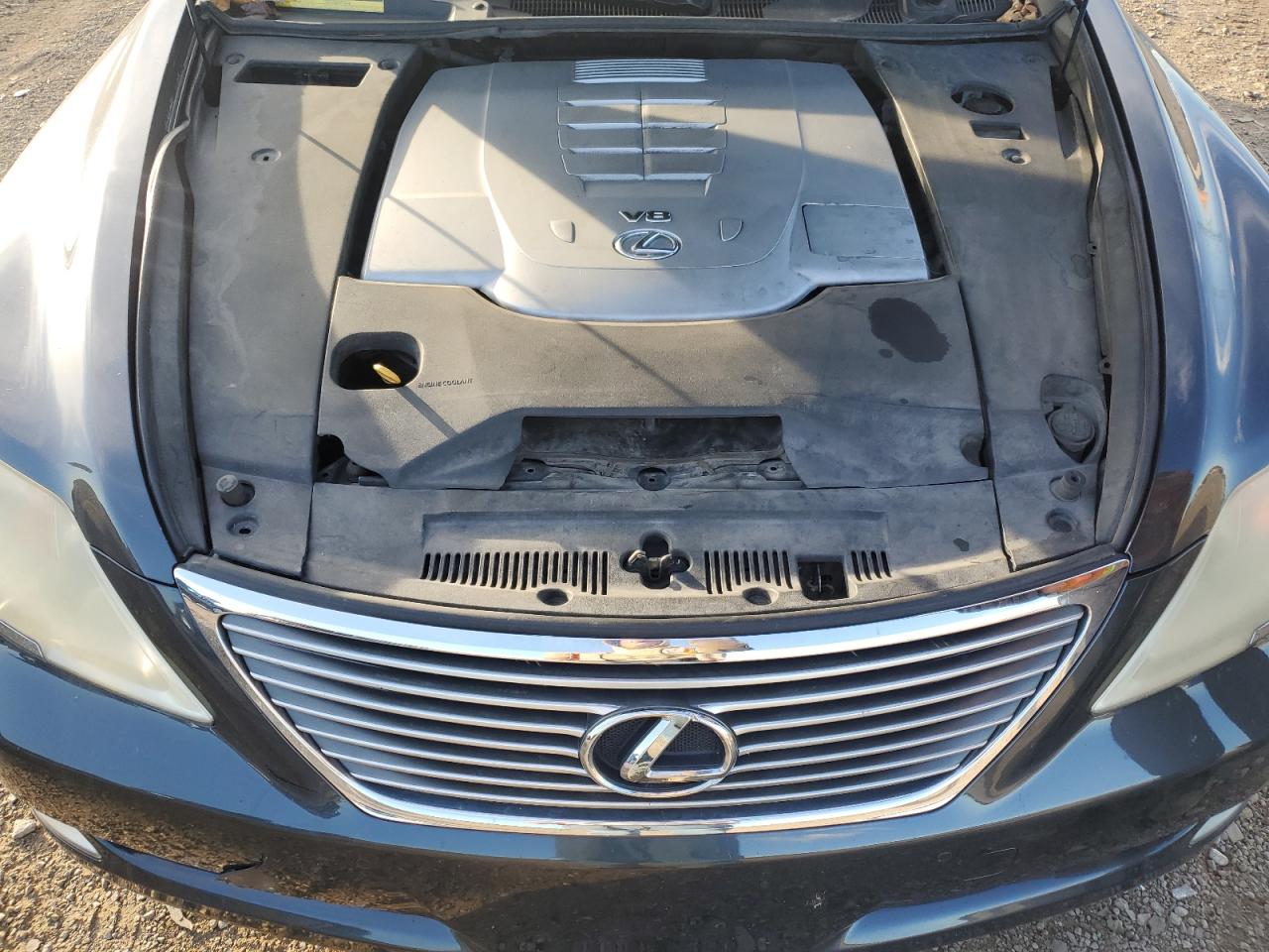 2007 Lexus Ls 460 VIN: JTHBL46F775029008 Lot: 91729345