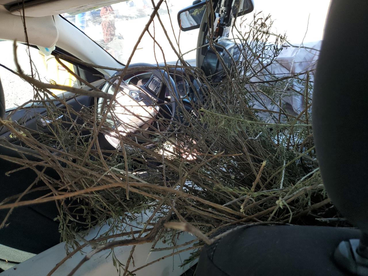 2016 Dodge Dart Se VIN: 1C3CDFAA1GD712116 Lot: 92902945