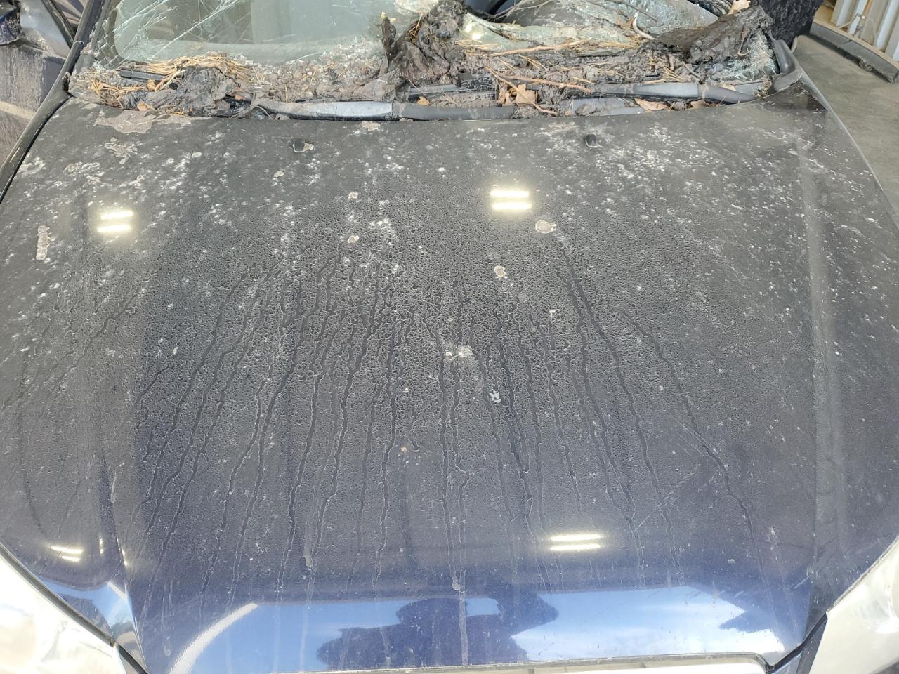 2009 Hyundai Elantra Gls VIN: KMHDU46D19U620638 Lot: 92944705