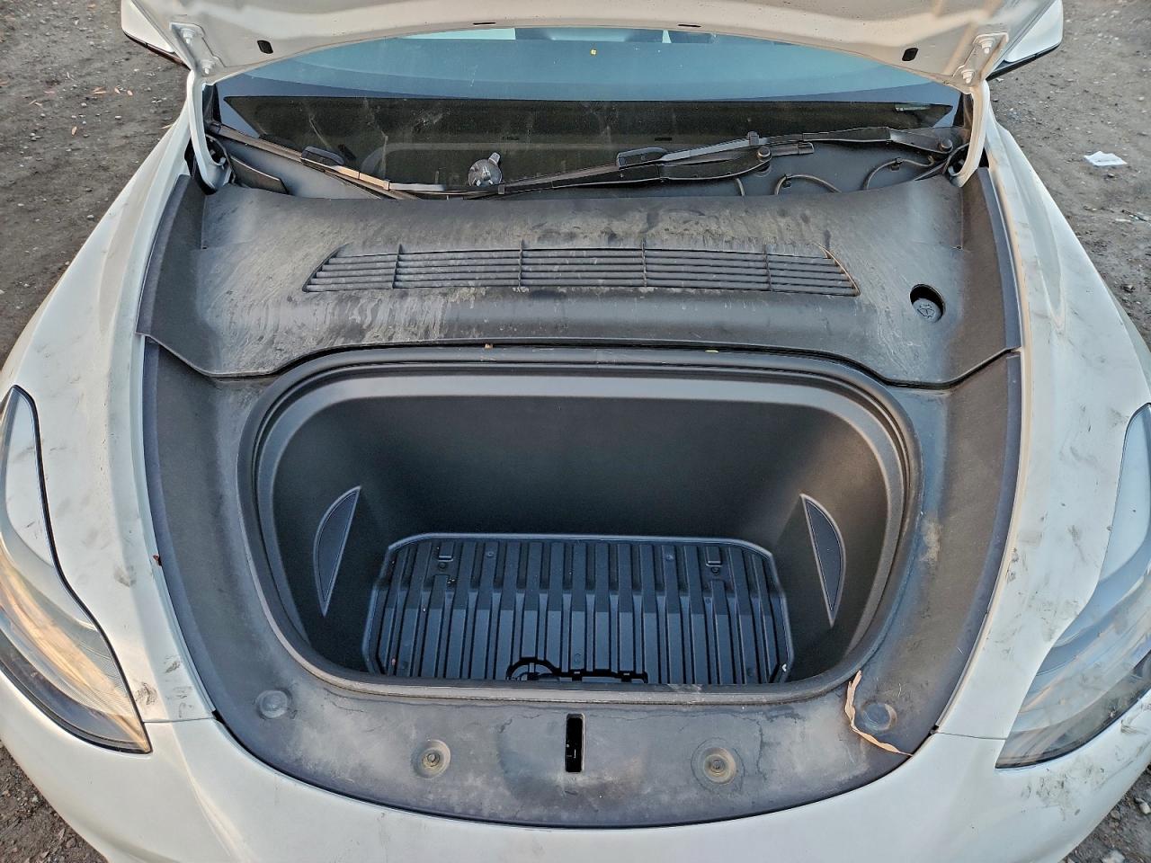 2024 Tesla Model Y VIN: 7SAYGDED9RF116591 Lot: 93519265