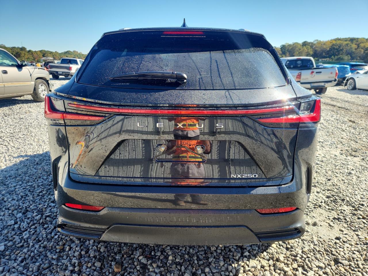 2024 Lexus Nx 250 Base VIN: 2T2ADCAZ8RC013195 Lot: 91074495