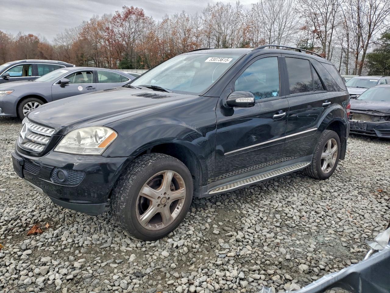 2008 Mercedes-Benz Ml 350