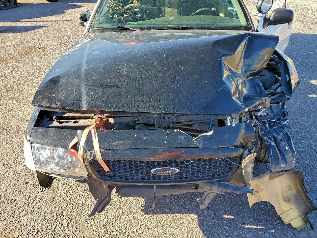 2007 Ford Crown Victoria Police Interceptor VIN: 2FAFP71W87X141305 Lot: 93990695