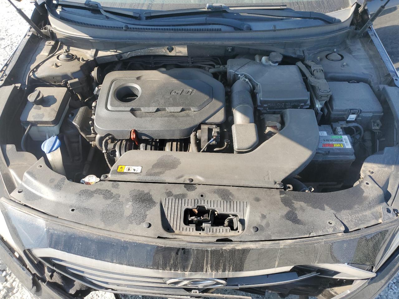 2016 Hyundai Sonata Se VIN: 5NPE24AF9GH423098 Lot: 91777215