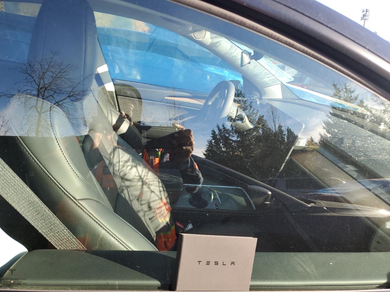 2023 Tesla Model Y VIN: 7SAYGAEE9PF969741 Lot: 81771685