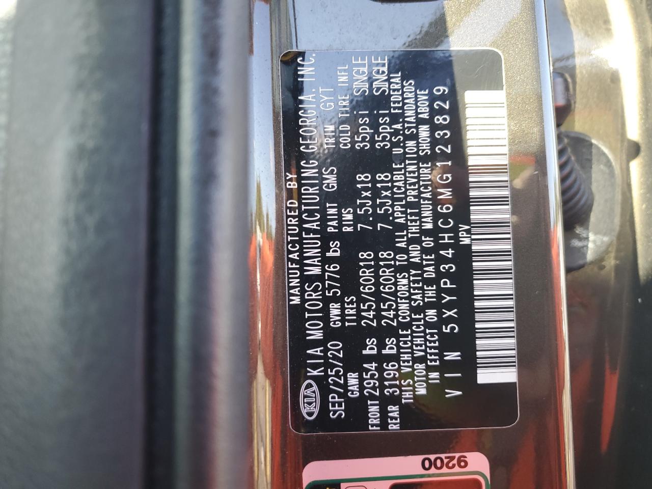 2021 Kia Telluride Ex VIN: 5XYP34HC6MG123829 Lot: 93030605