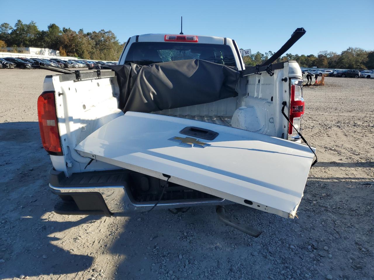 2019 Chevrolet Colorado VIN: 1GCHSBEA9K1167917 Lot: 89616005