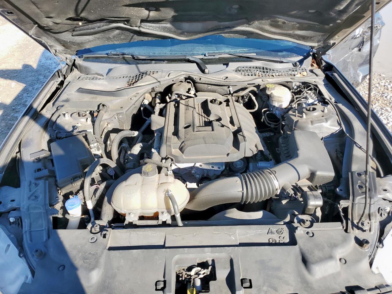 2020 Ford Mustang VIN: 1FA6P8TH0L5176498 Lot: 91297645