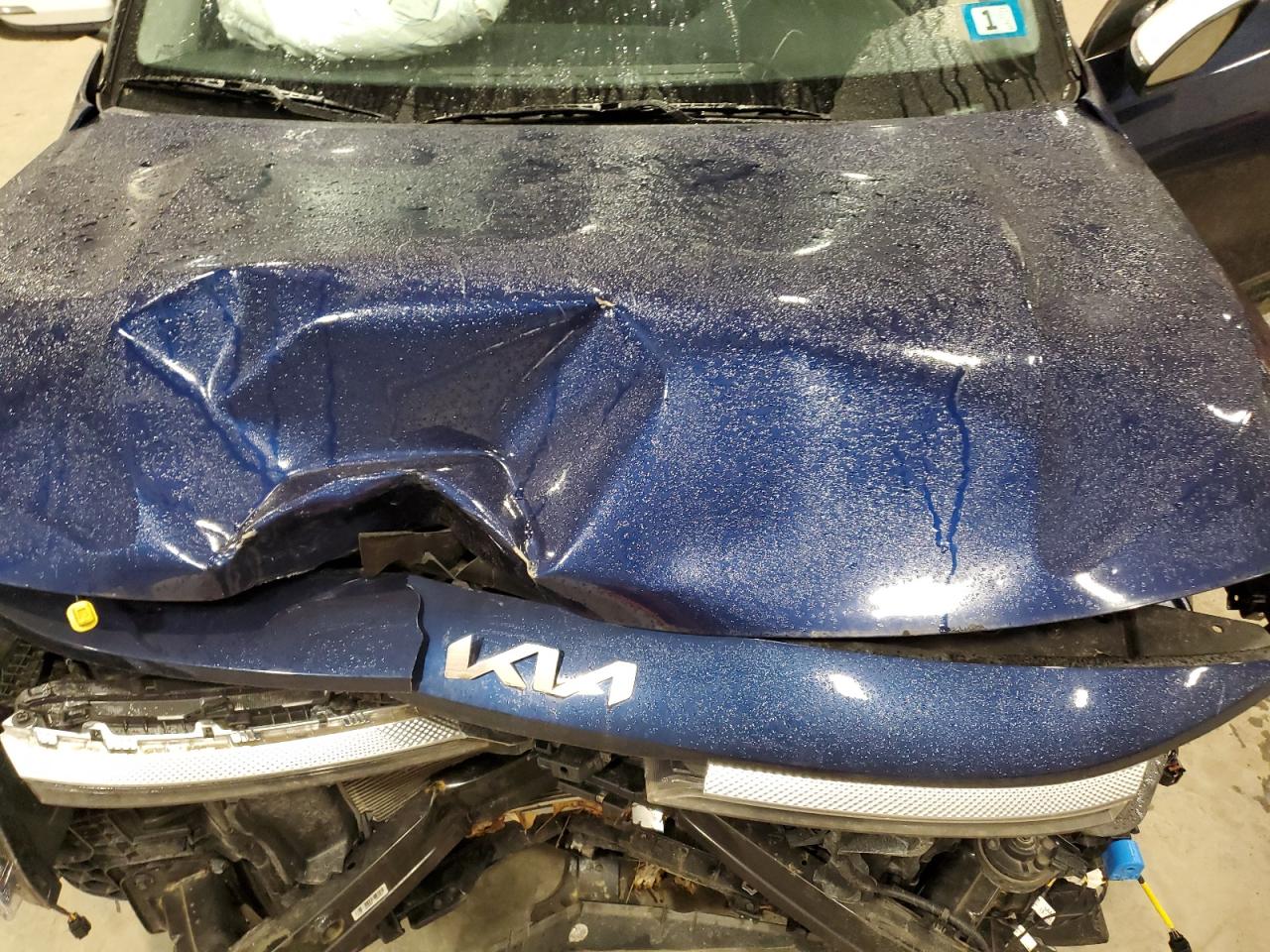 2023 Kia Seltos S VIN: KNDEUCAA7P7380409 Lot: 92733625