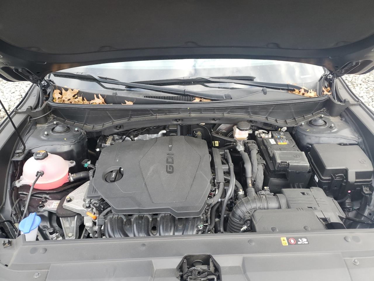 2023 Hyundai Santa Cruz Sel VIN: 5NTJBDAE2PH066550 Lot: 92603185