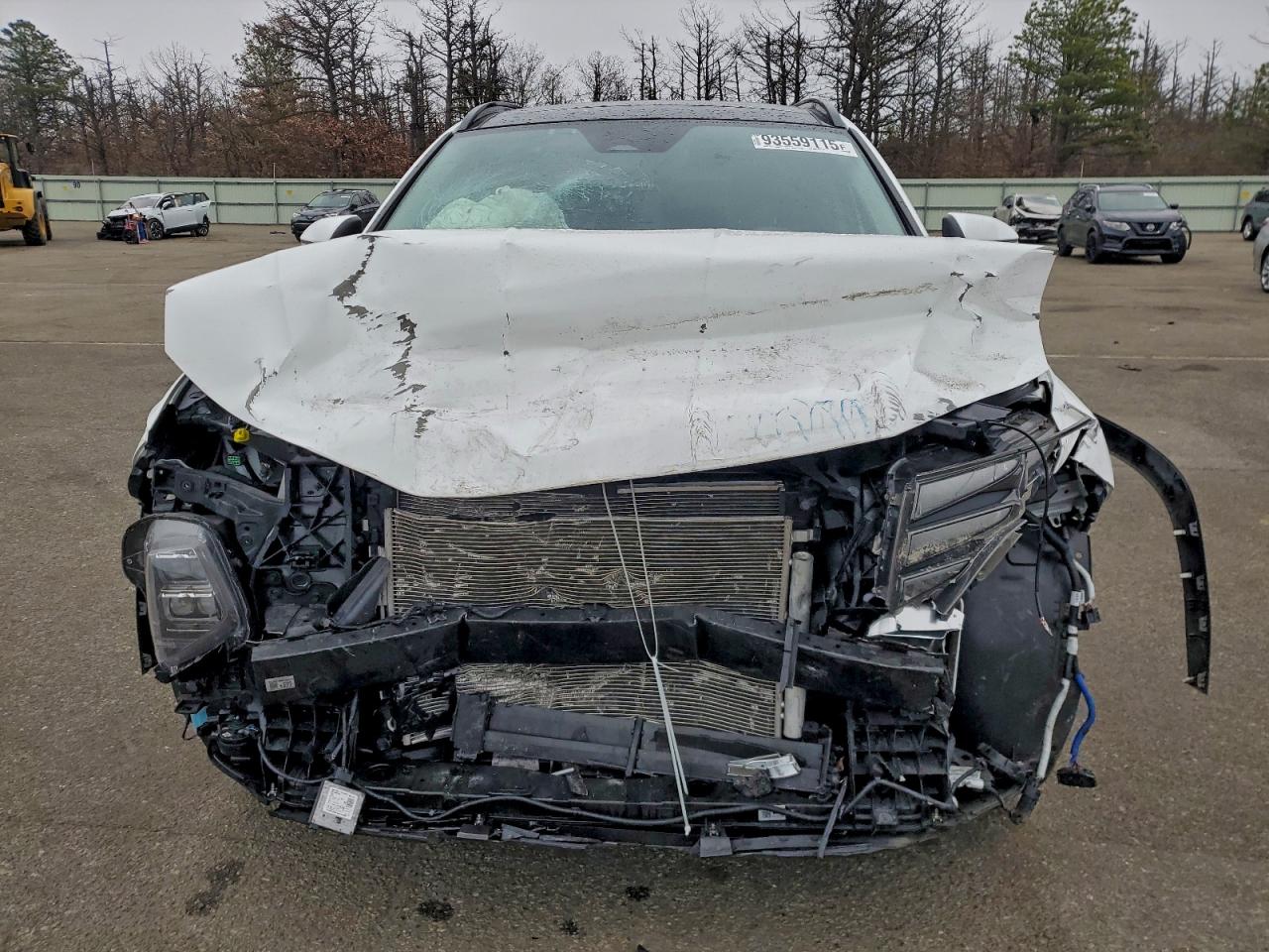 2024 Hyundai Tucson Limited VIN: 5NMJECDE8RH366346 Lot: 93559115