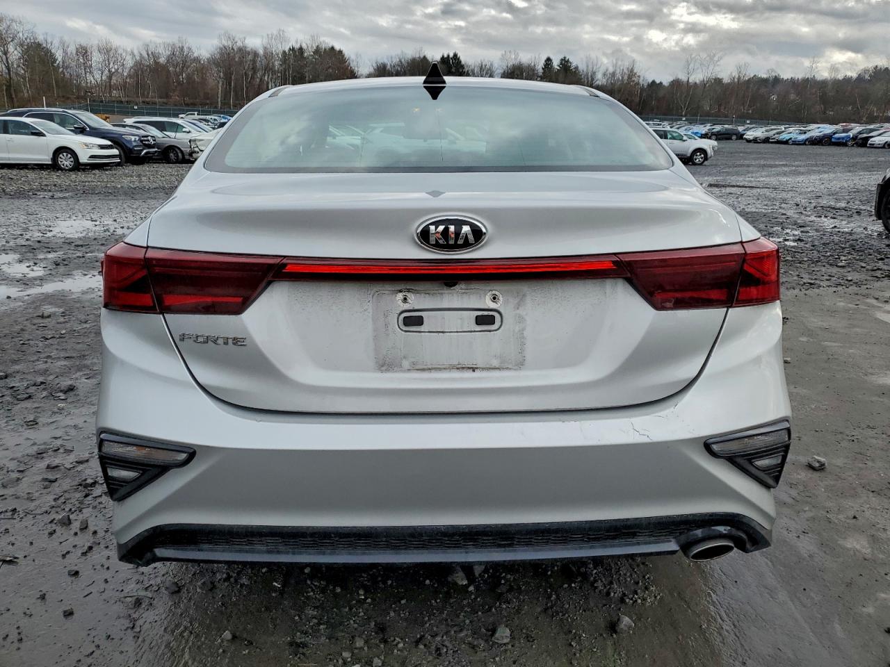 2020 Kia Forte Fe VIN: 3KPF24AD1LE163054 Lot: 94289245