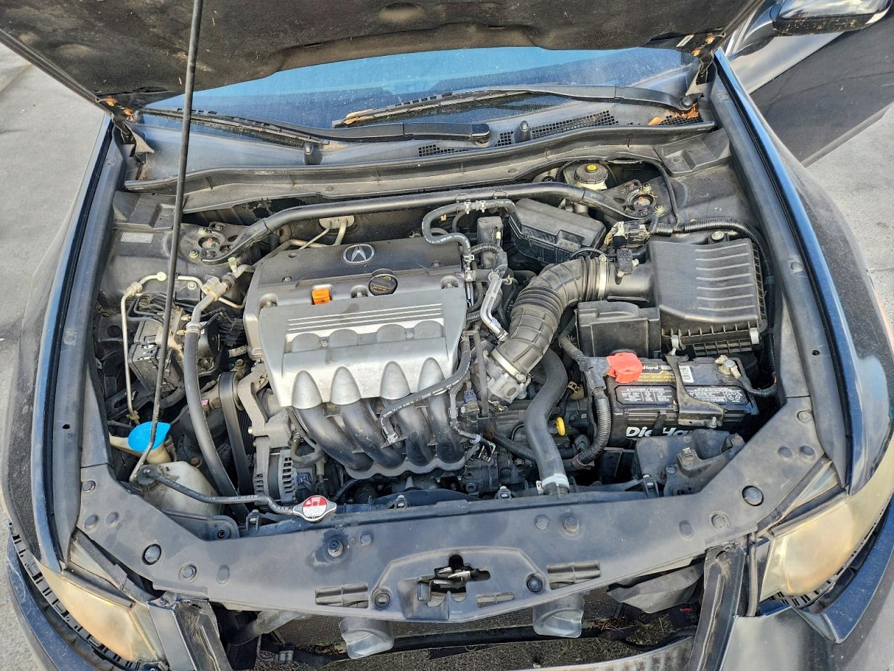 2011 Acura Tsx VIN: JH4CU2F60BC004350 Lot: 94178895