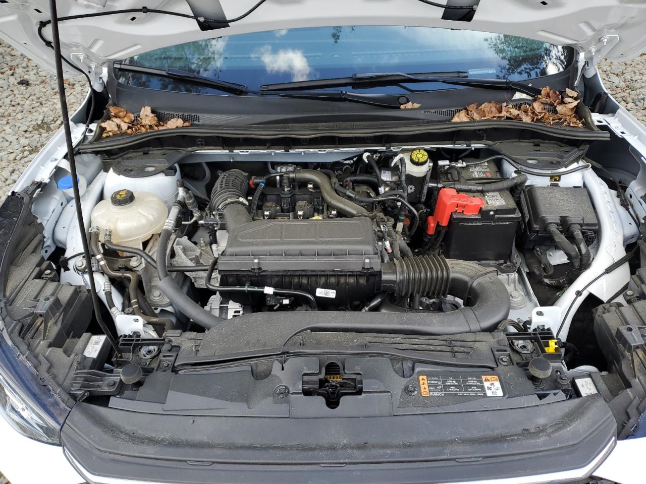 2023 Ford Escape Active VIN: 1FMCU9GN9PUB14374 Lot: 92804985