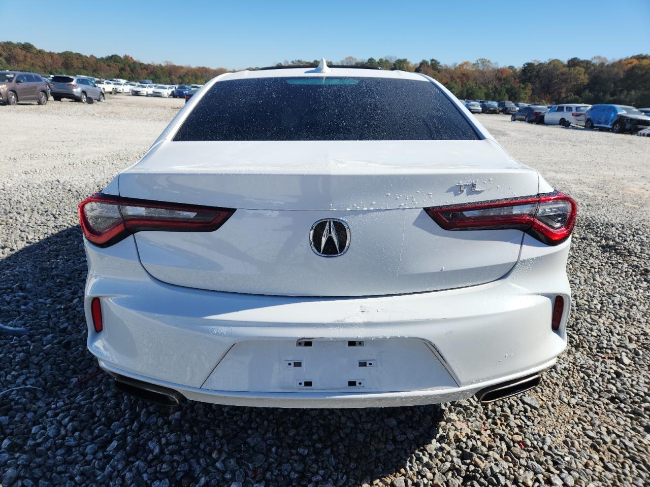 2023 Acura Tlx VIN: 19UUB5F33PA004799 Lot: 91353425