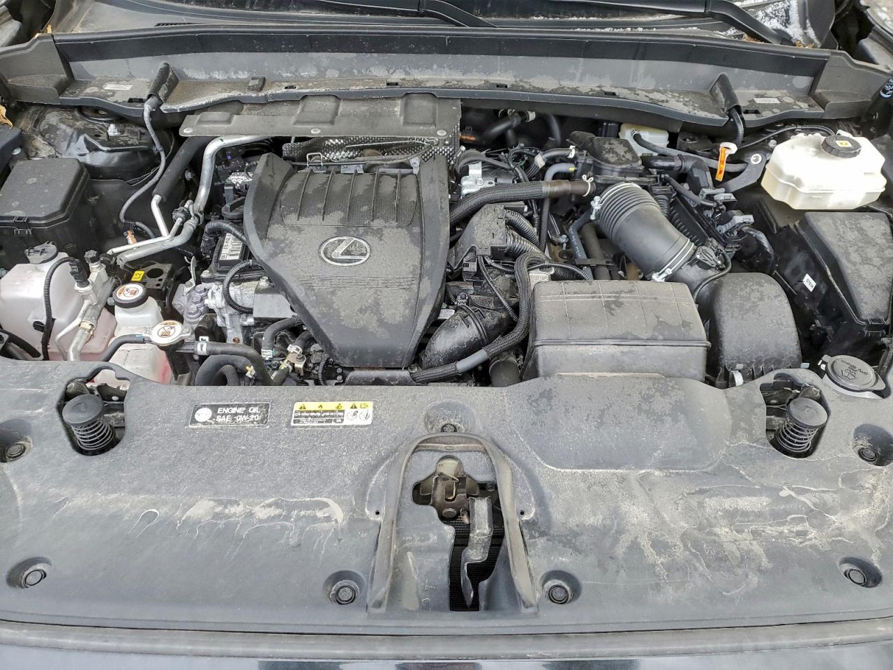 2024 Lexus Tx 500H F Sport Premium VIN: 5TDABAB60RS004436 Lot: 93862435