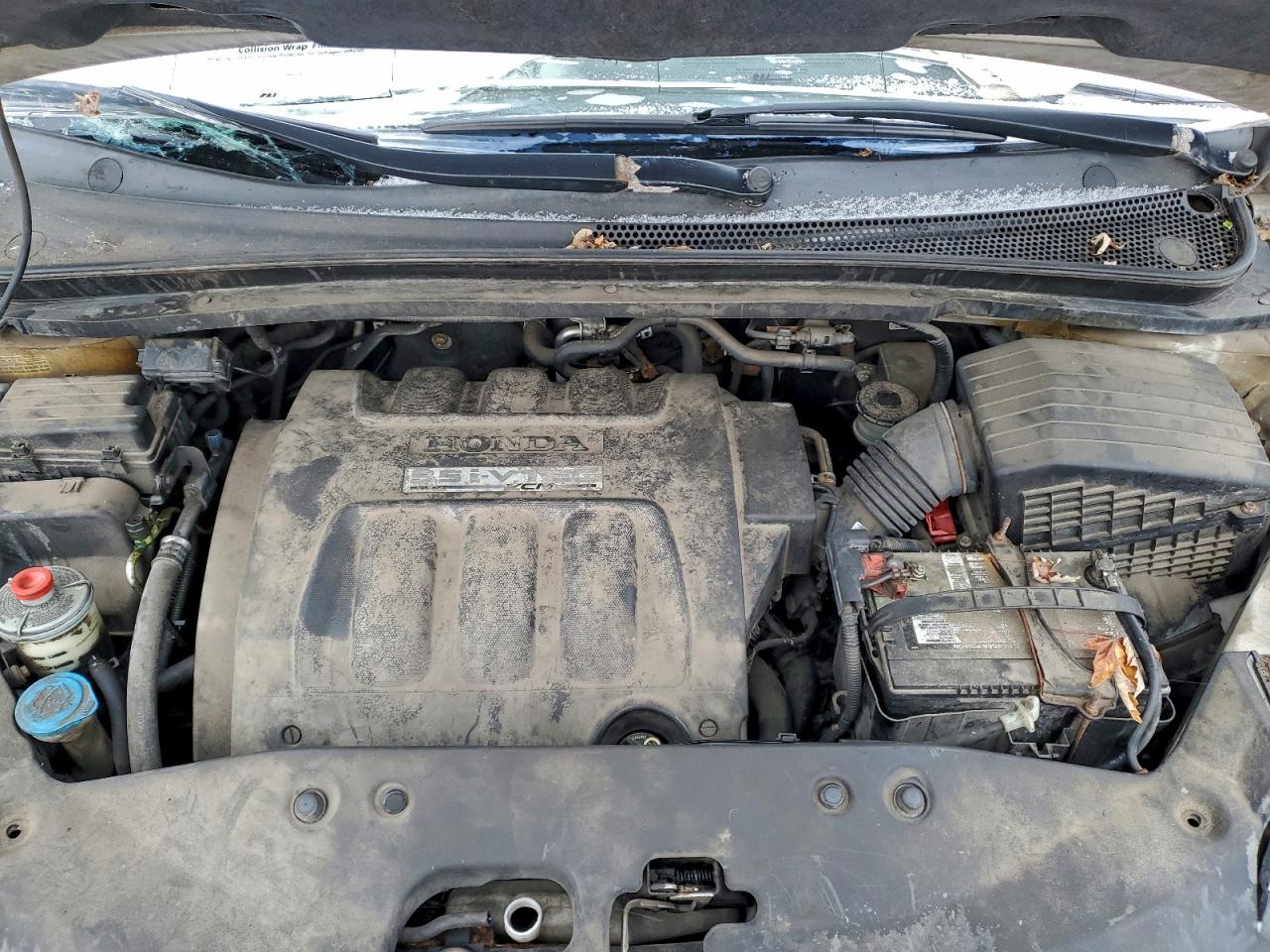 2005 Honda Odyssey Exl VIN: 5FNRL38665B508443 Lot: 94672235