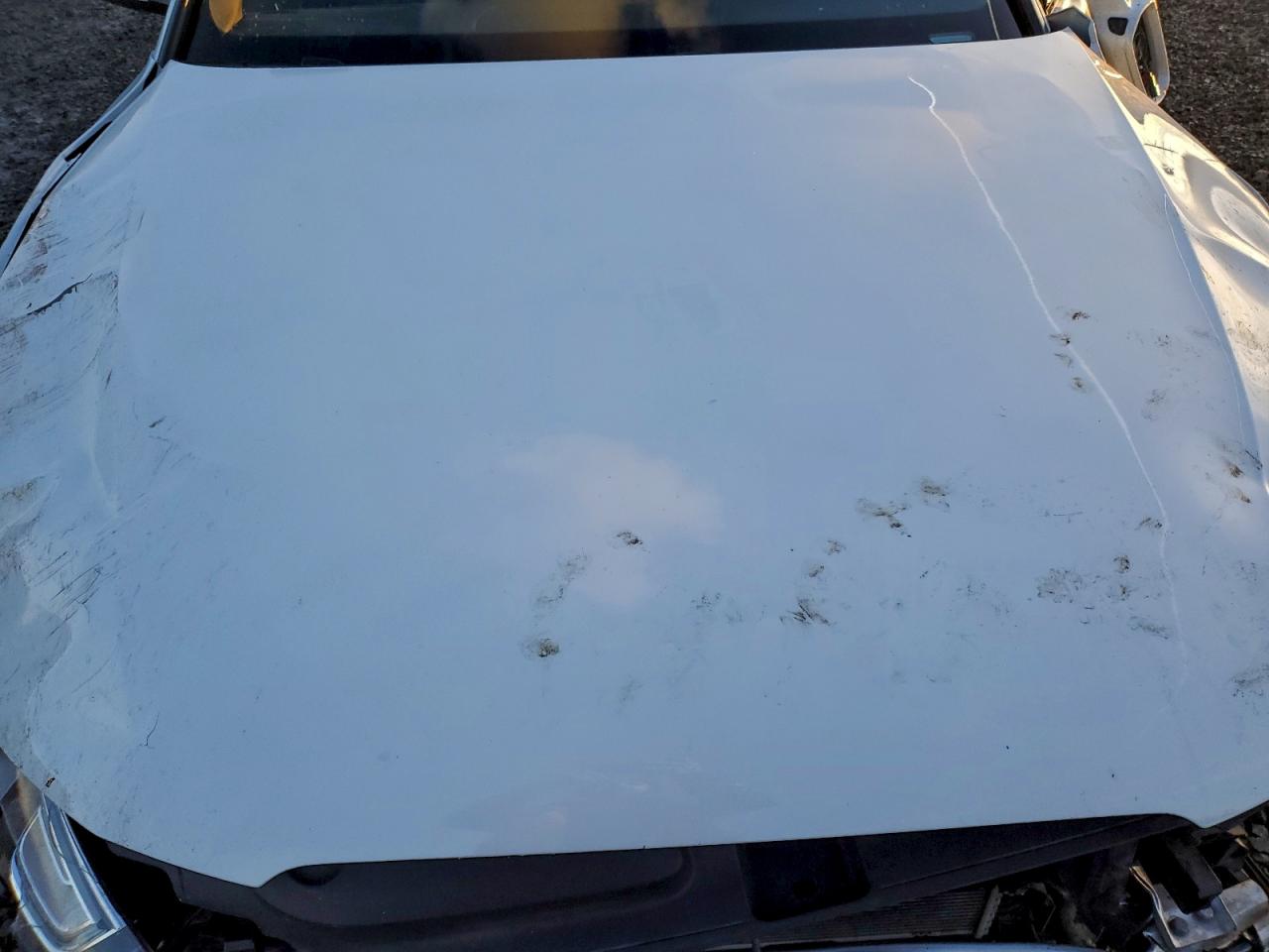 2017 Audi S5 VIN: WAUC4AFR7HA000562 Lot: 93038825