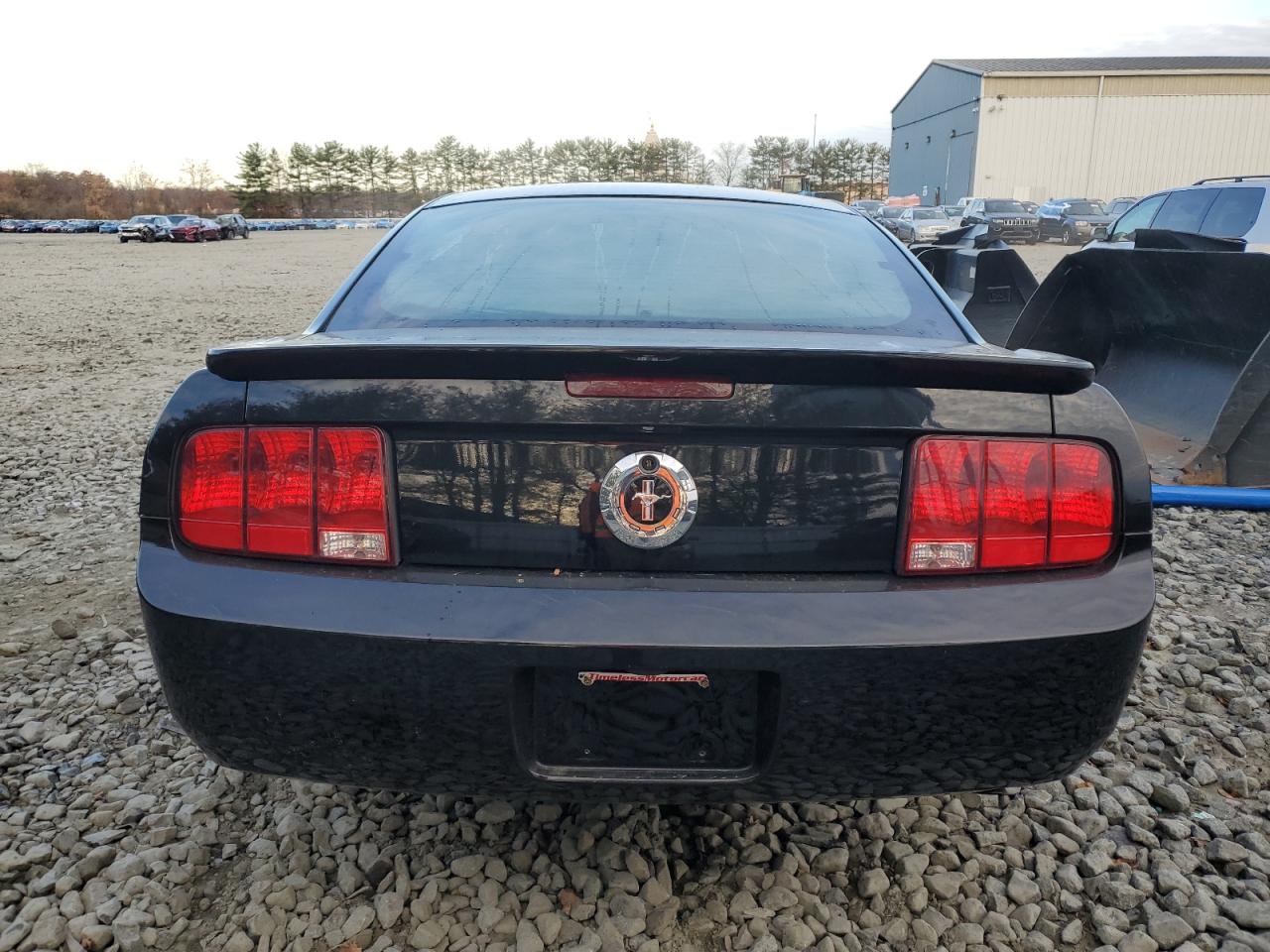 2008 Ford Mustang VIN: 1ZVHT80N185115593 Lot: 91098365