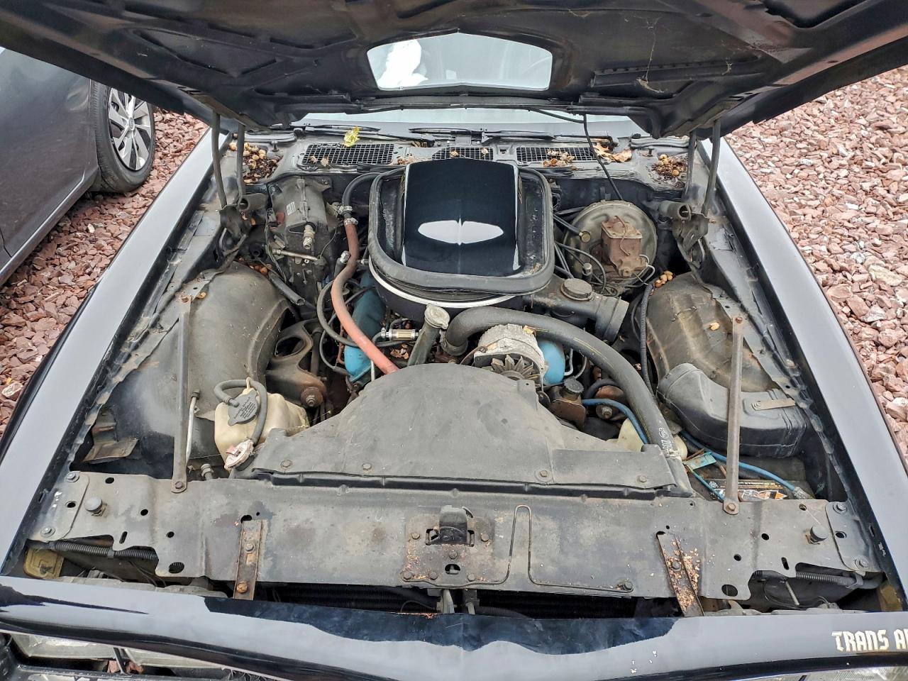 1977 Pontiac Firebird T VIN: 2W87K7N124921 Lot: 92017985