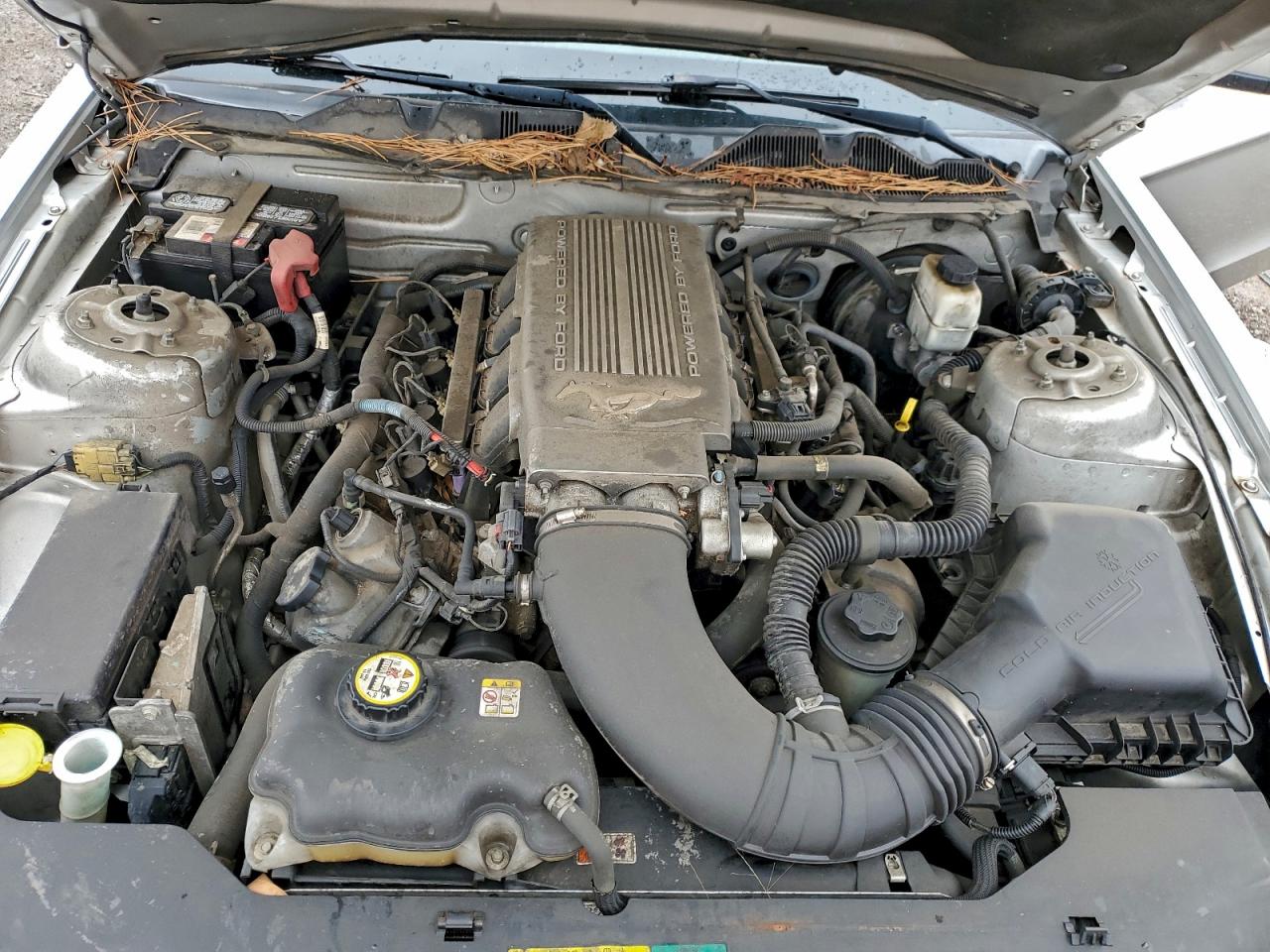 2010 Ford Mustang Gt VIN: 1ZVBP8FH3A5134647 Lot: 94164975