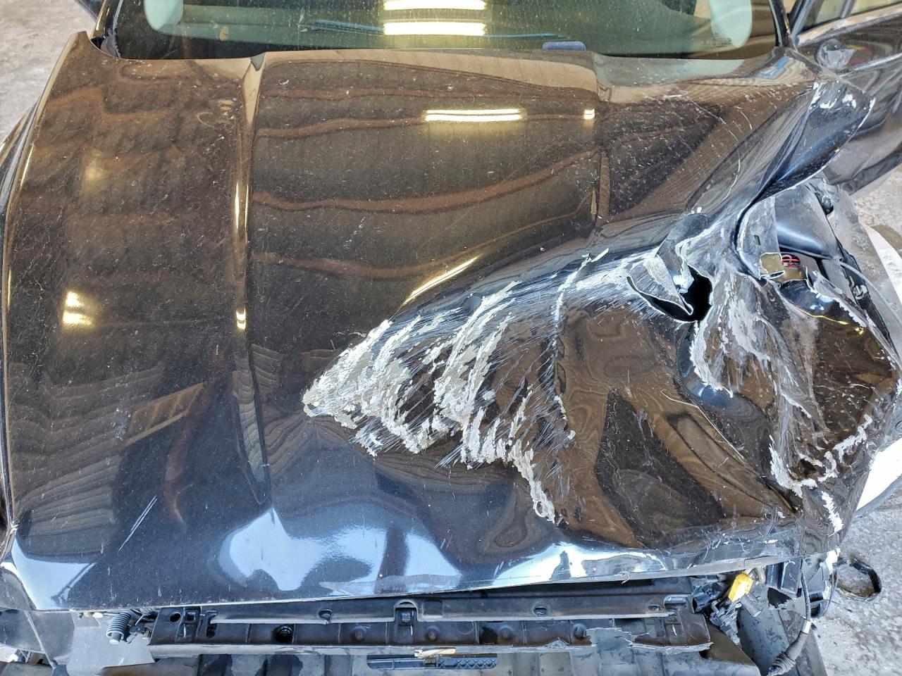 2014 Ford Fusion Se VIN: 3FA6P0HD2ER184206 Lot: 93979545