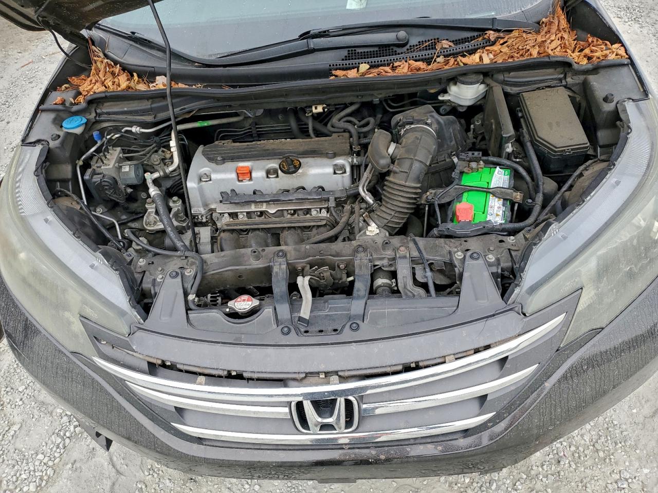 2014 Honda Cr-V Exl VIN: 2HKRM3H77EH533830 Lot: 93912365