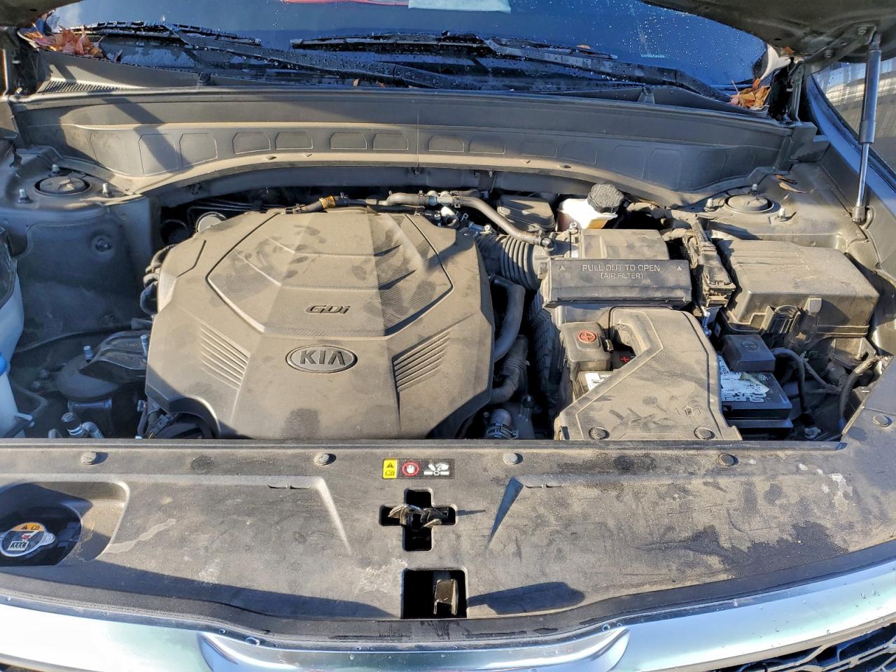 2020 Kia Telluride Ex VIN: 5XYP34HC0LG031419 Lot: 93455465