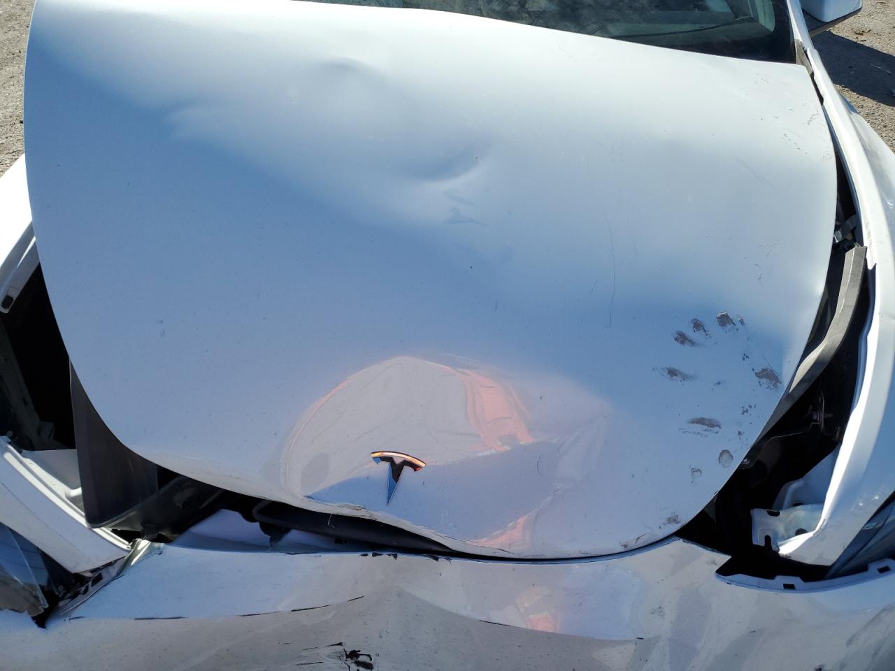 2023 Tesla Model Y VIN: 7SAYGDEE3PF877848 Lot: 91179255