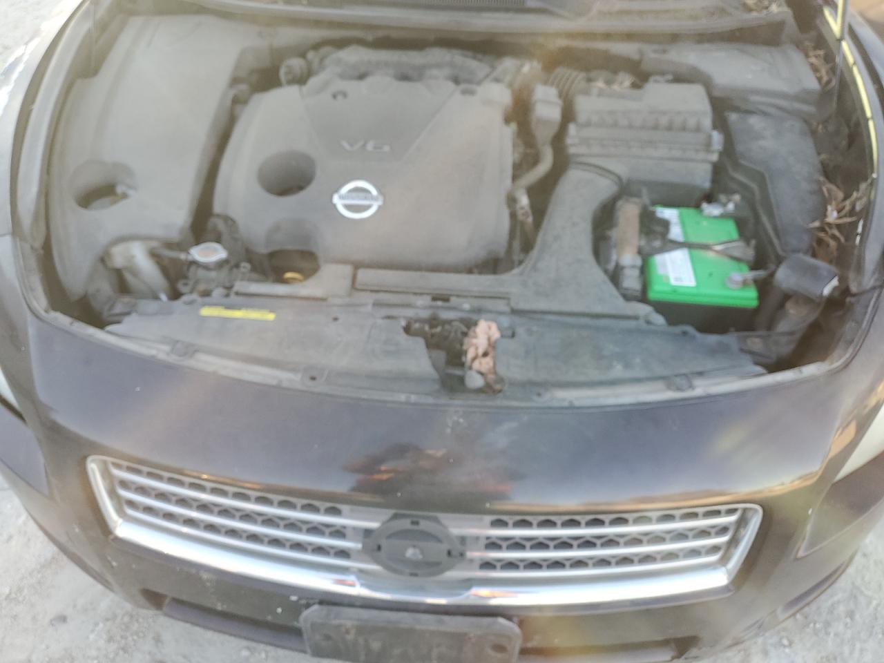 2010 Nissan Maxima S VIN: 1N4AA5AP4AC816810 Lot: 92345105