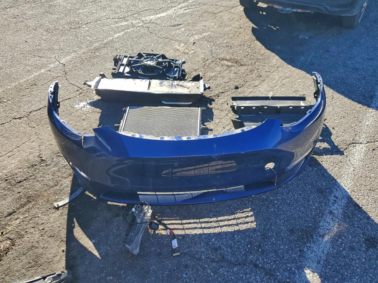 2024 Tesla Model Y VIN: 7SAYGDEEXRF003676 Lot: 94365555