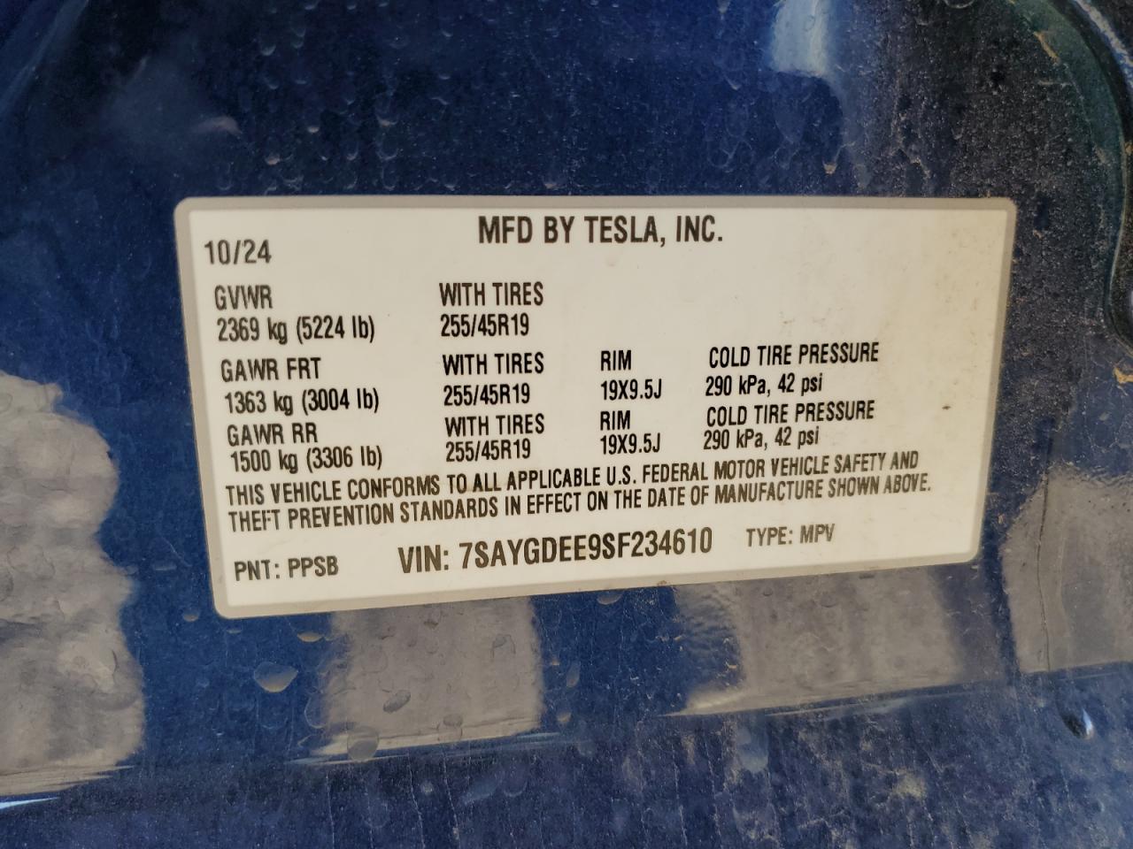 2025 Tesla Model Y VIN: 7SAYGDEE9SF234610 Lot: 91831165