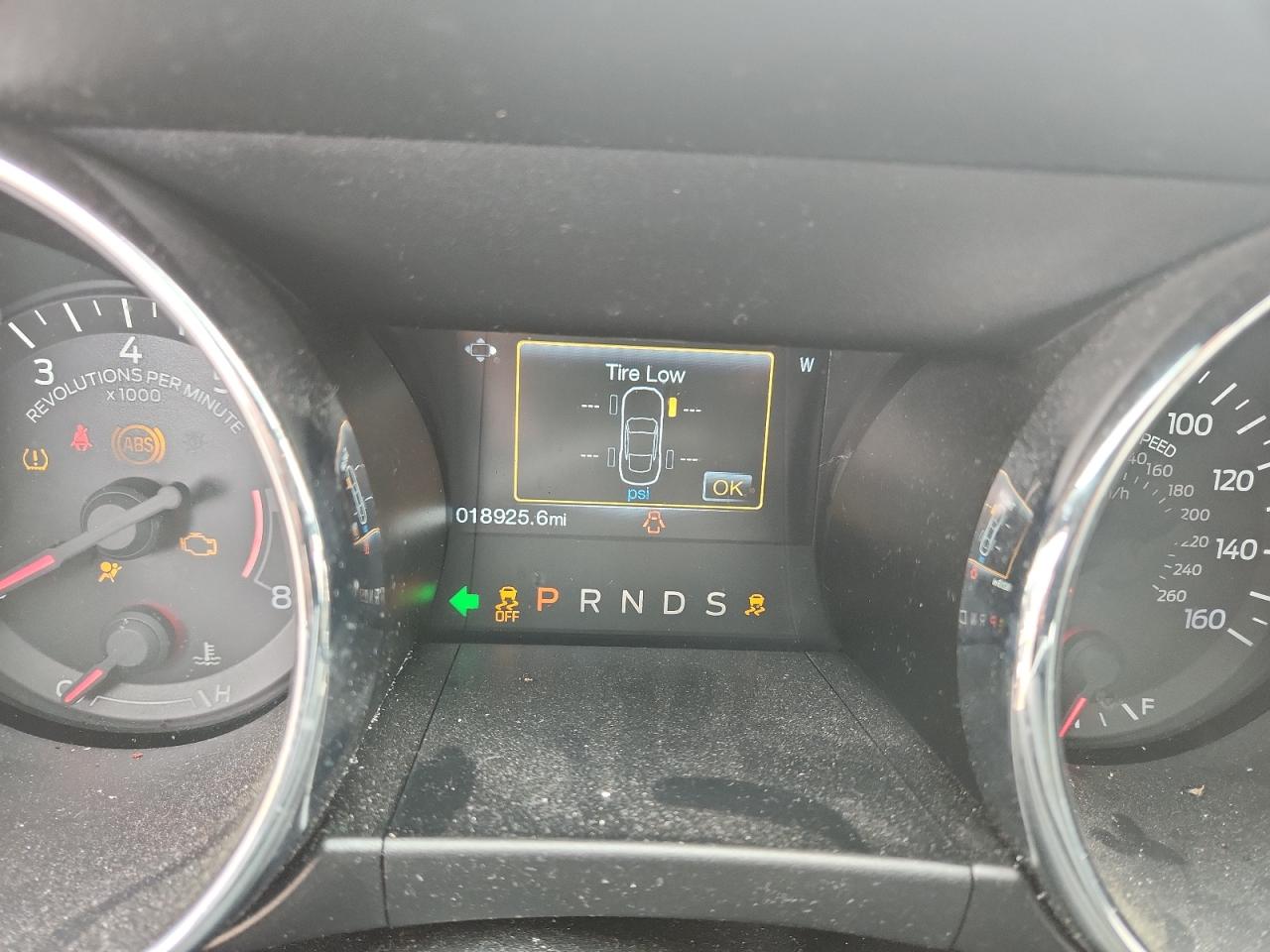 2015 Ford Mustang 50Th Anniversary VIN: 1FA6P8RF9F5500302 Lot: 91125785