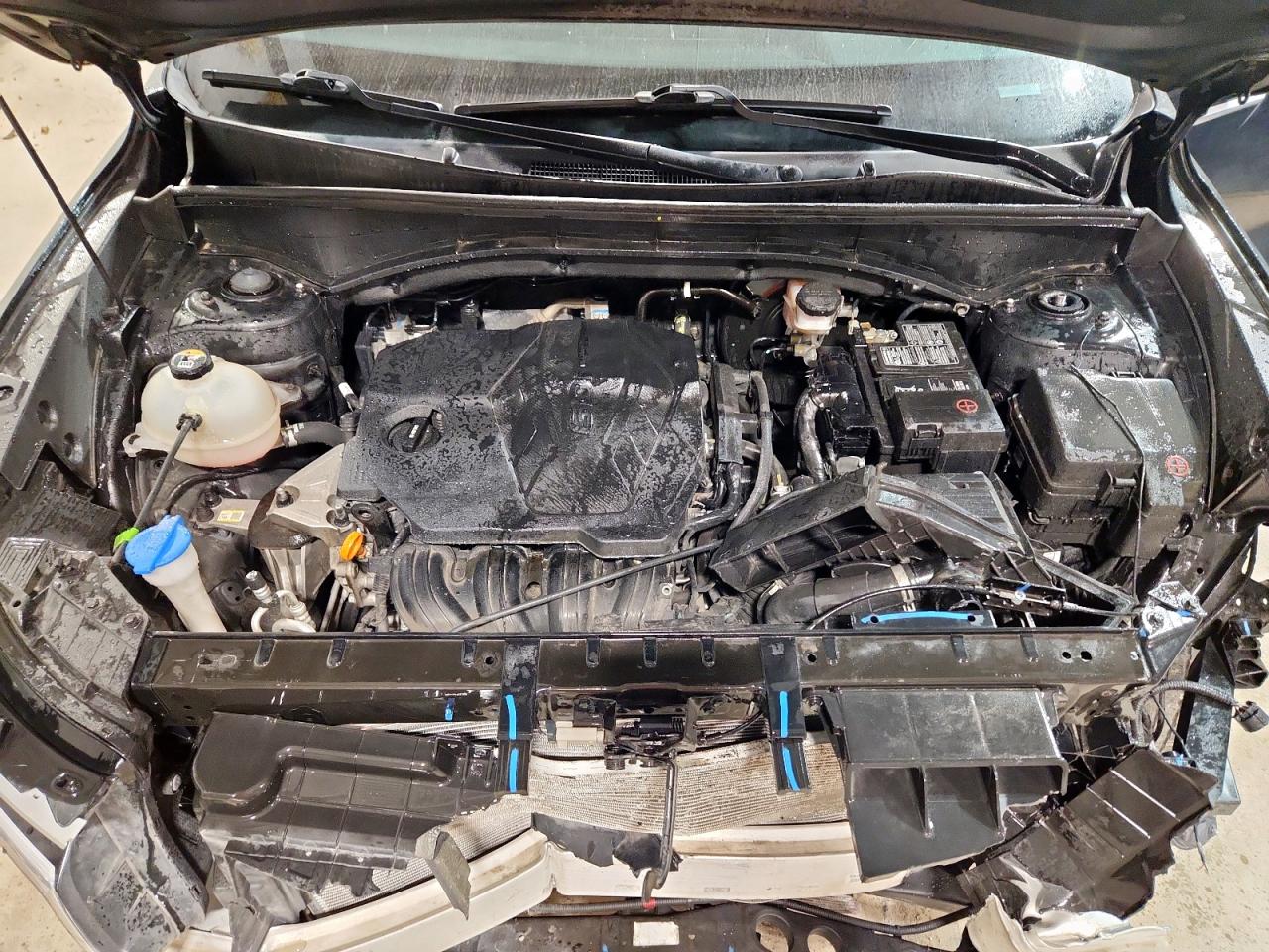 2023 Kia Sorento Lx VIN: 5XYRG4LCXPG167566 Lot: 91455175