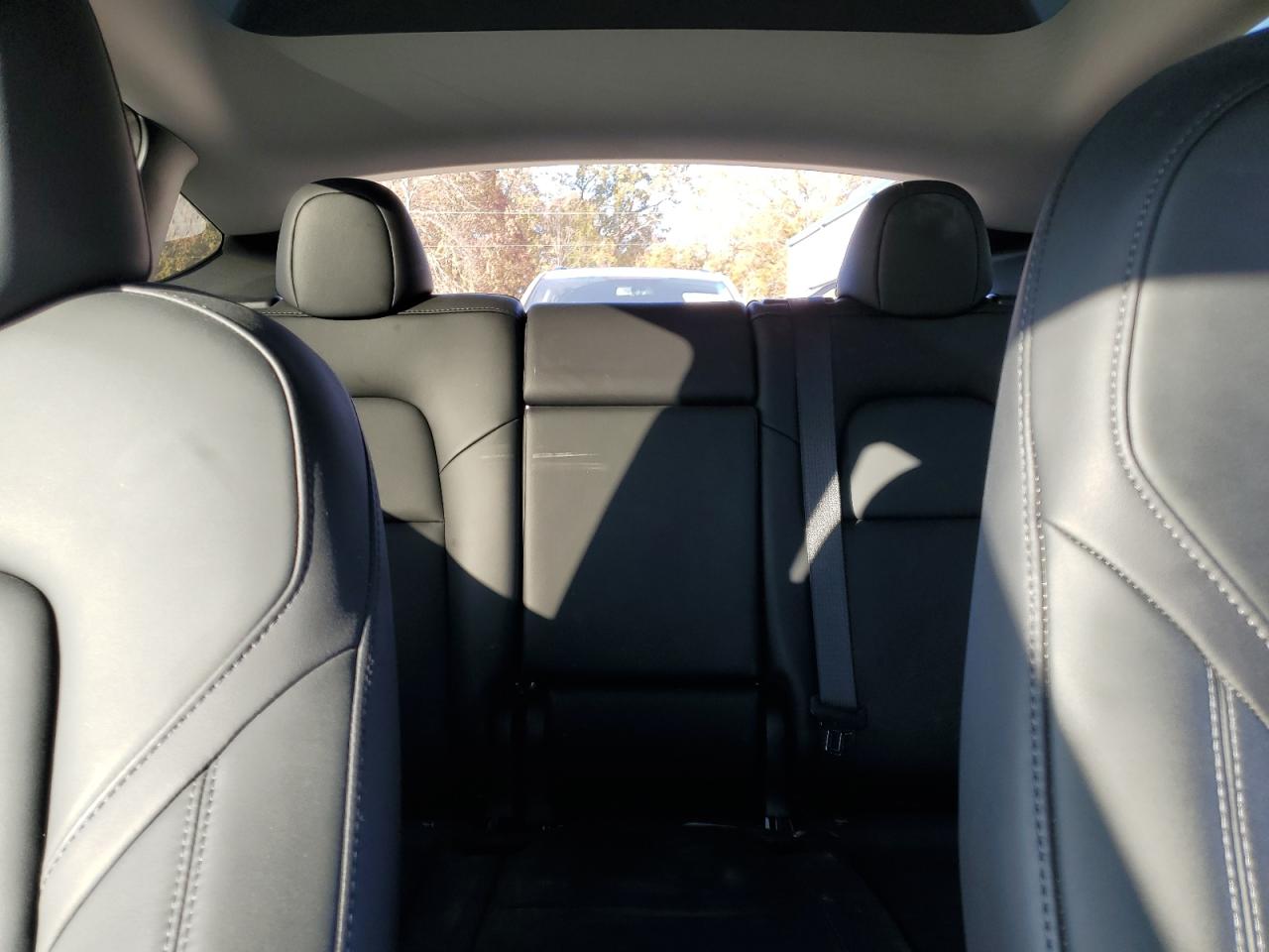 2023 Tesla Model Y VIN: 7SAYGDEE8PA144076 Lot: 92412495