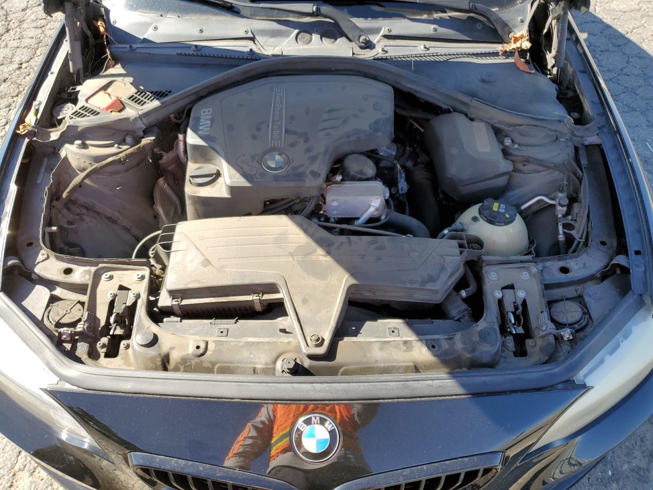 2015 BMW 228 I VIN: WBA1F5C55FV256862 Lot: 92123535