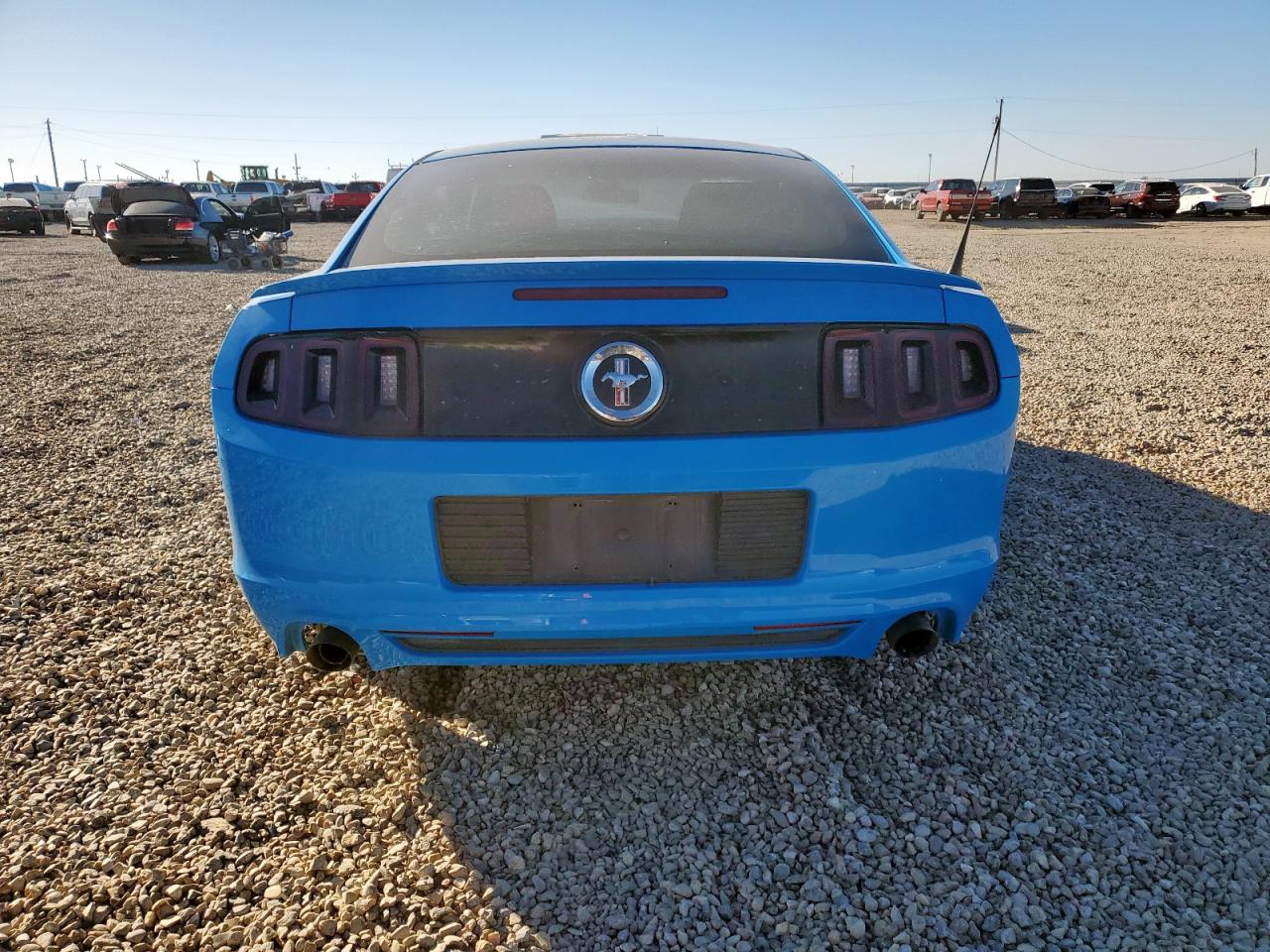 2013 Ford Mustang VIN: 1ZVBP8AM3D5257034 Lot: 91591375