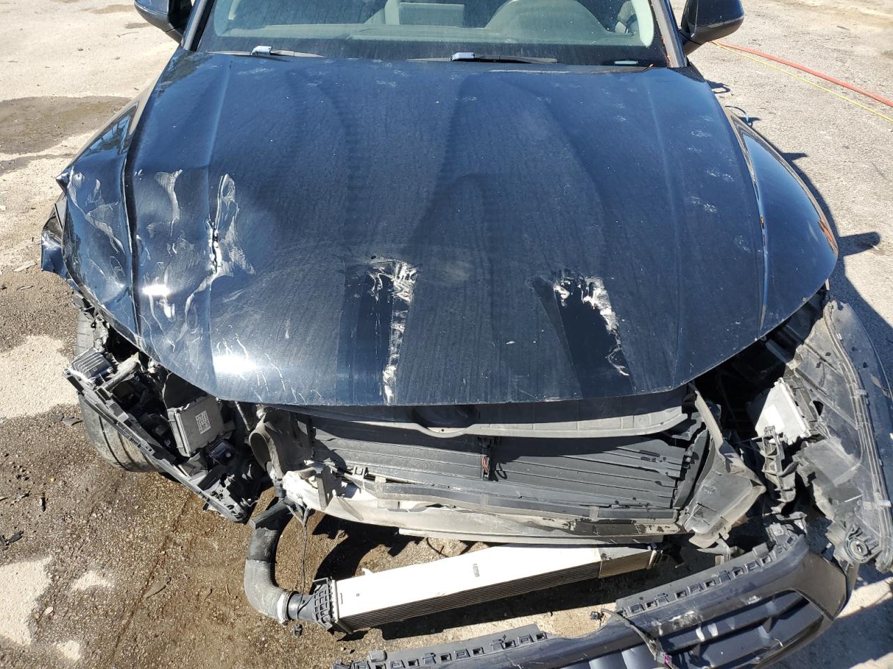 2019 Audi Q5 Premium Plus VIN: WA1BNAFY1K2105693 Lot: 91094765