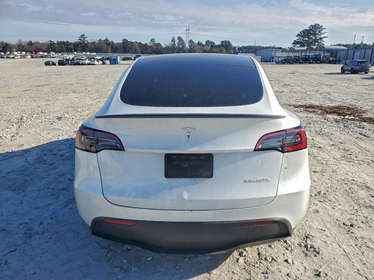 2023 Tesla Model Y VIN: 7SAYGDEFXPF663643 Lot: 93928275