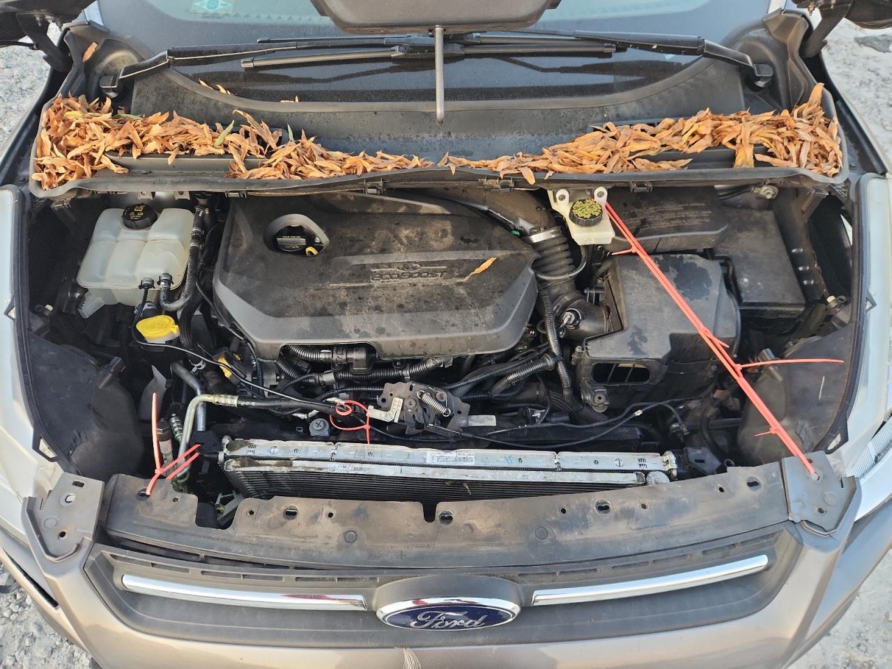 2014 Ford Escape Se VIN: 1FMCU0GXXEUB38869 Lot: 92615655