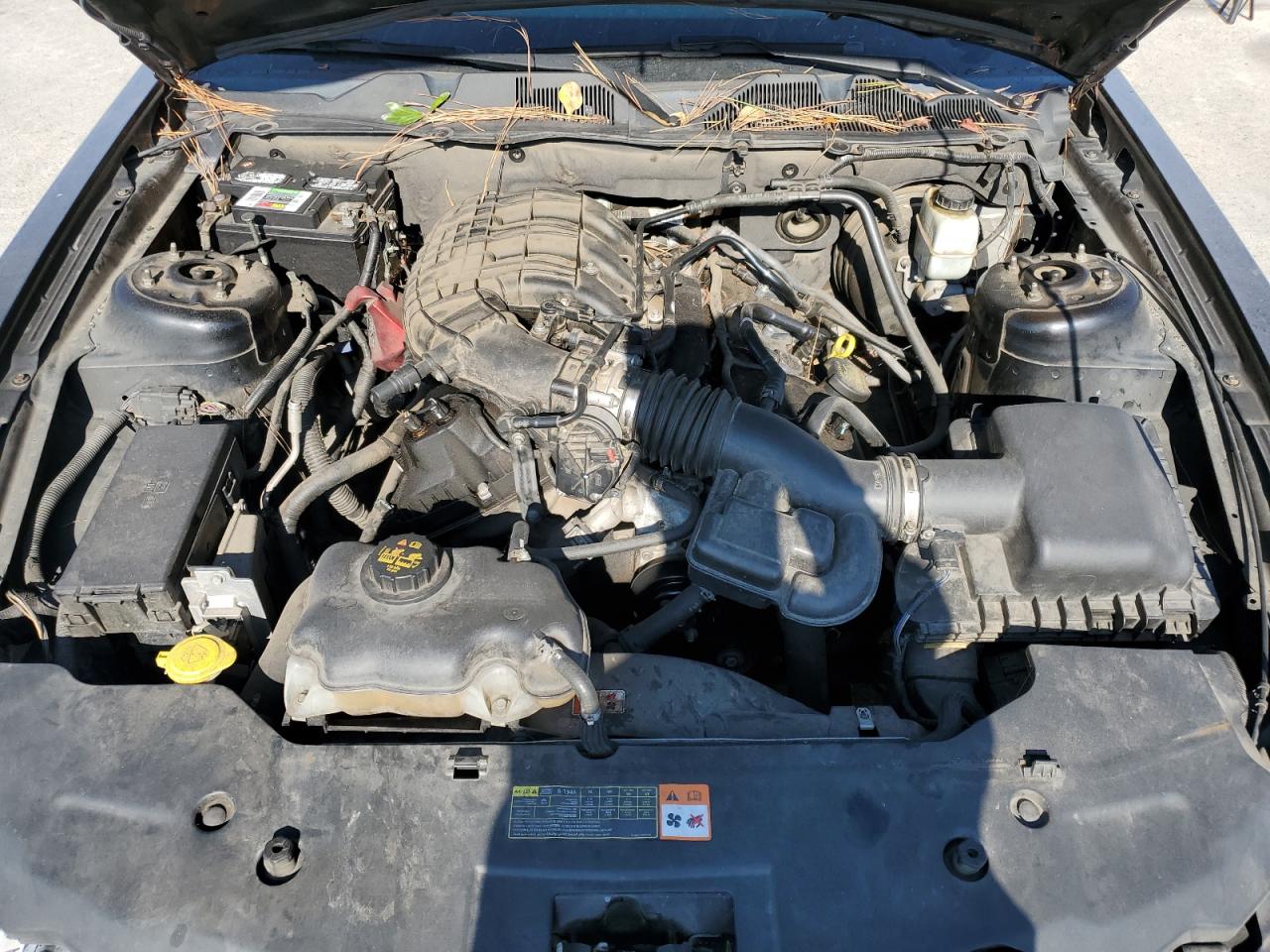 2012 Ford Mustang VIN: 1ZVBP8AM2C5248663 Lot: 93126645