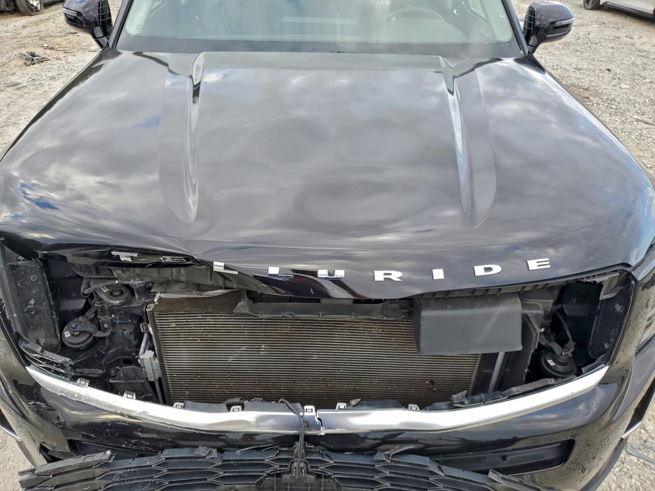 2021 Kia Telluride Sx VIN: 5XYP54HC7MG176209 Lot: 94154895