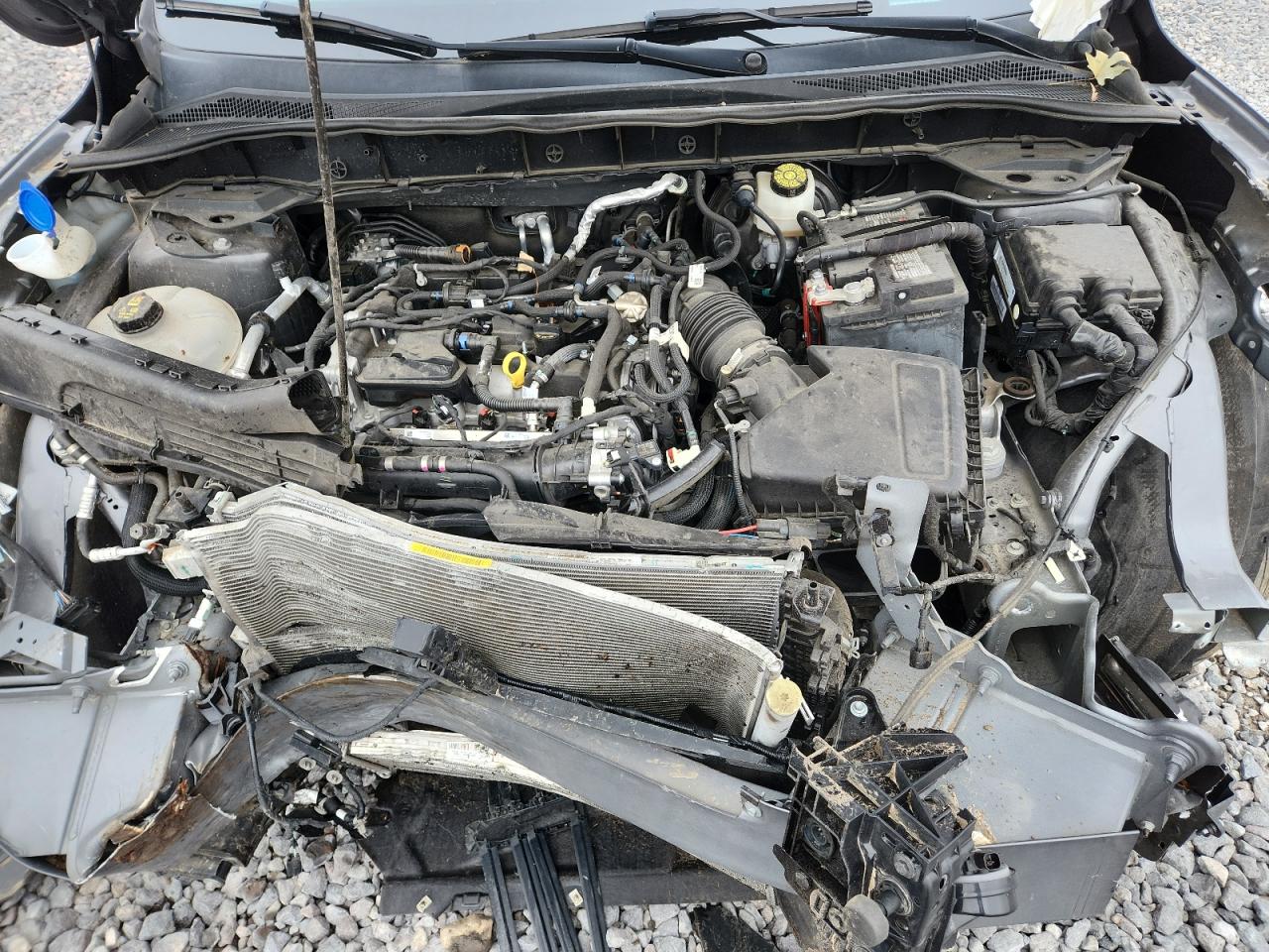 2021 Ford Escape Se VIN: 1FMCU9G61MUA01460 Lot: 93343725