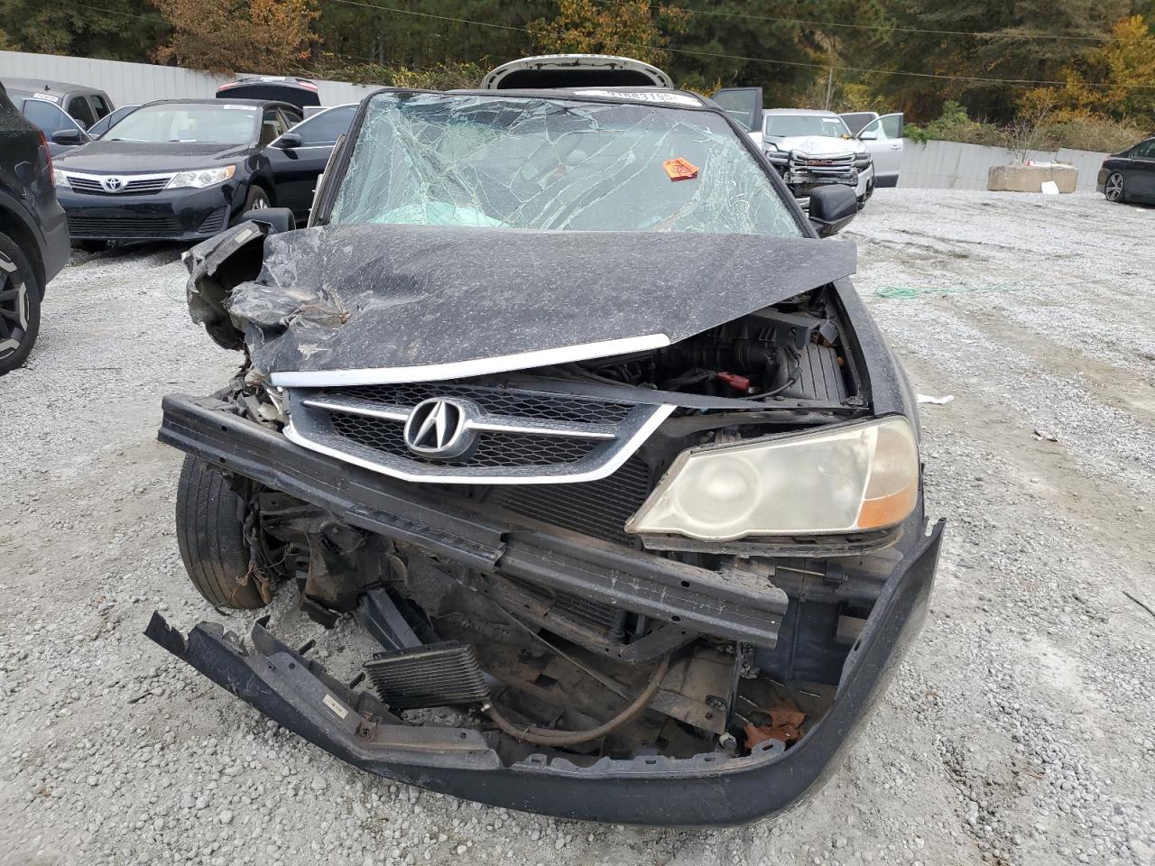 Фото: 19UUA56613A043155